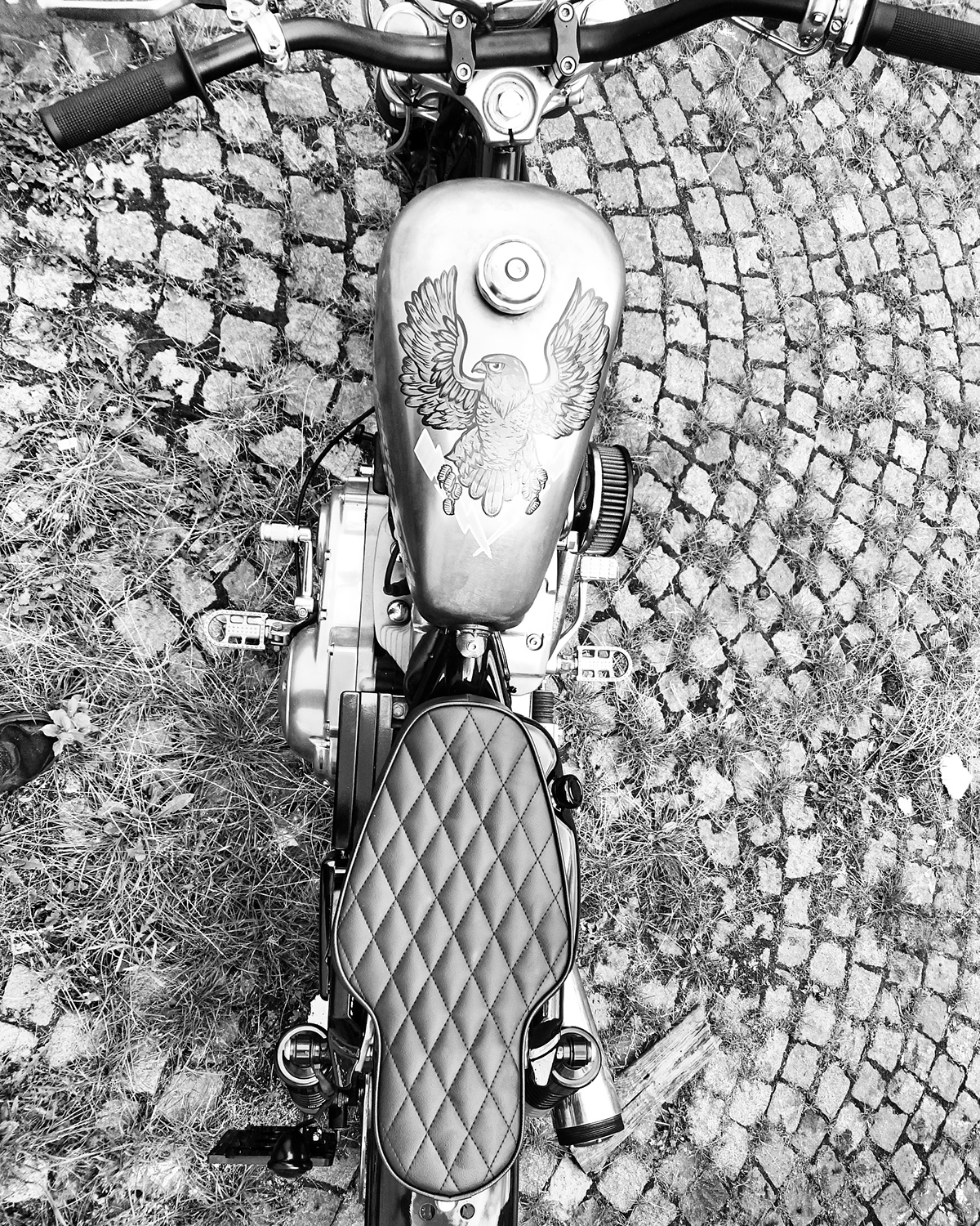 sportster Harley Davidson flat track motorcycle