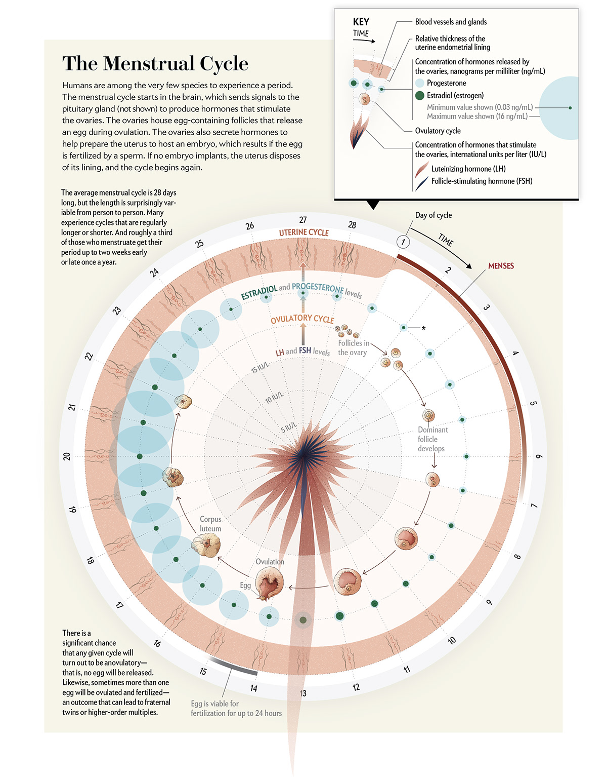 DATAVISUALIZATION Data visualization infographics menstruations menstrual cycle