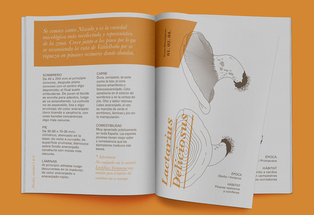 Identidad Corporativa Diseño editorial Ilustración técnica guía micológica