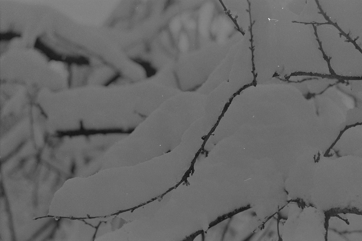 35mm analog Film   snow winter zenit
