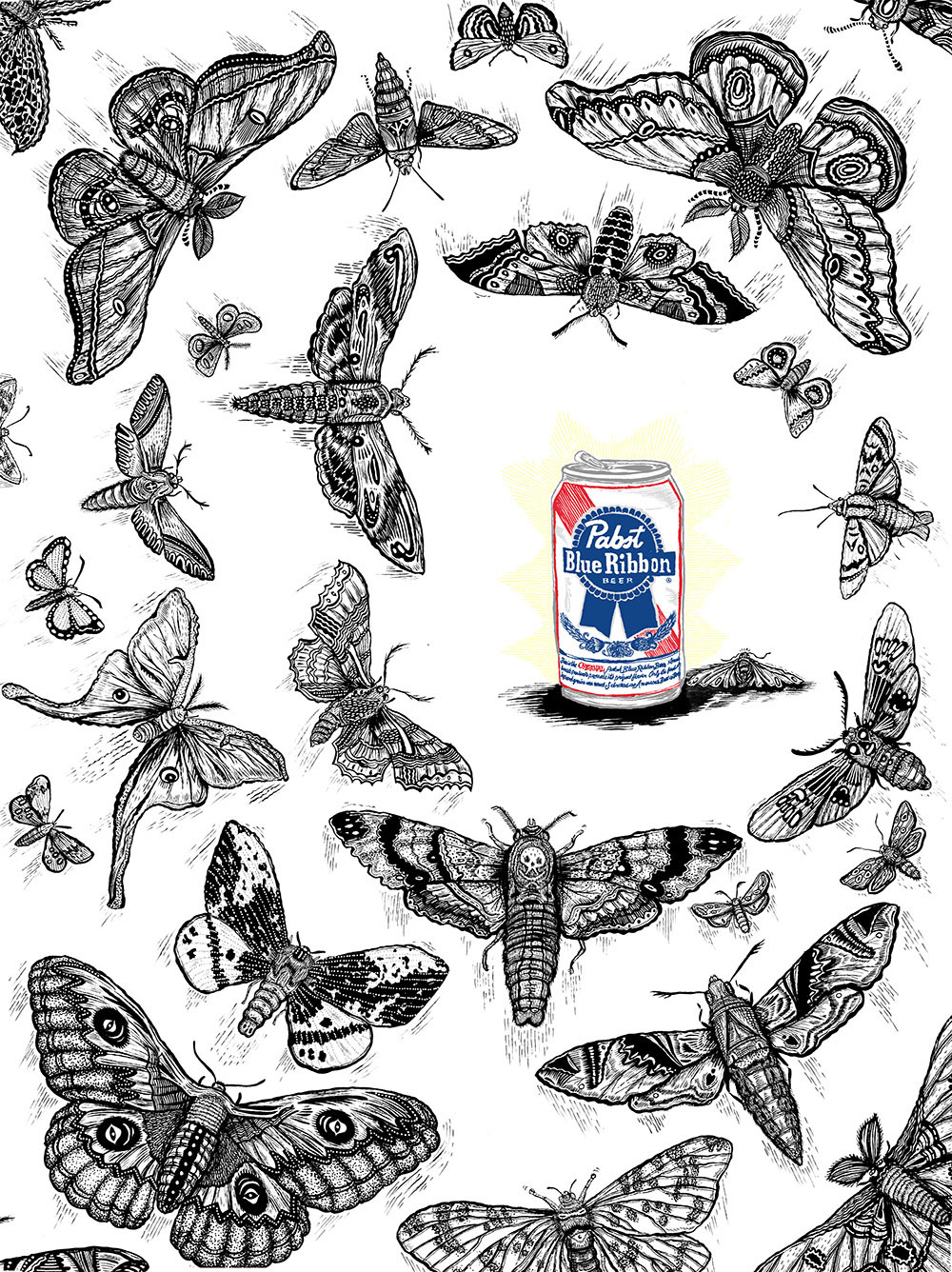 moths beer Pabst Blue Ribbon product design candle Nature natural scientific illustration Insects bugs pattern sketch ad Beer Advertisement 