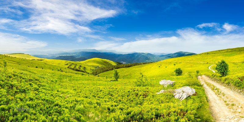 Composite Landscape Carpathian mountains Nature