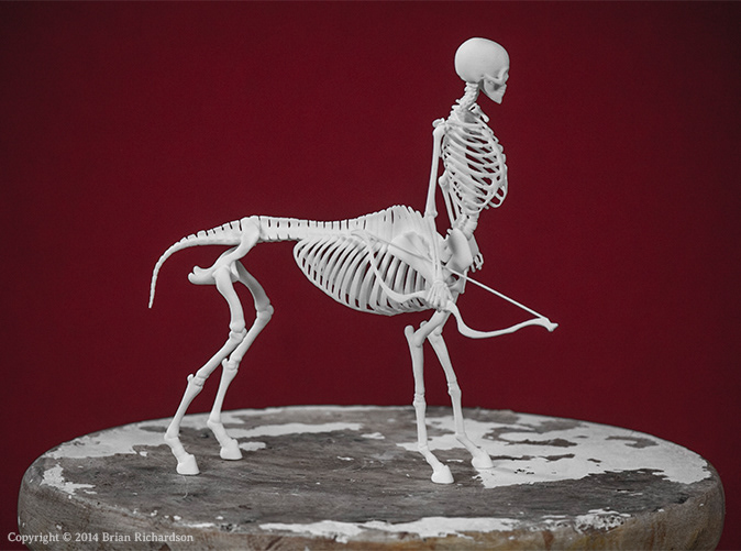 Centaur bone 3d print taxidermy
