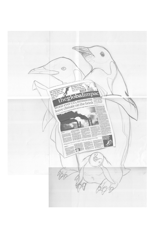 penguin bird environment illustrations drawings pencil art creative humour book animal behaviour Character 3b rob snow