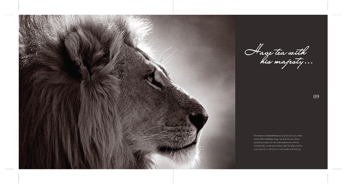 brochure design kenya stylised texture