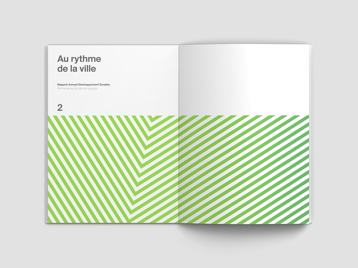 Adobe Portfolio annual report colors colorful stripes brochure flat