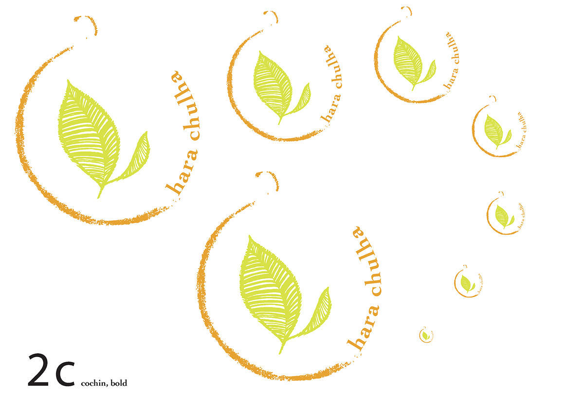 organic  sustainable Food   Stationary  logo identity