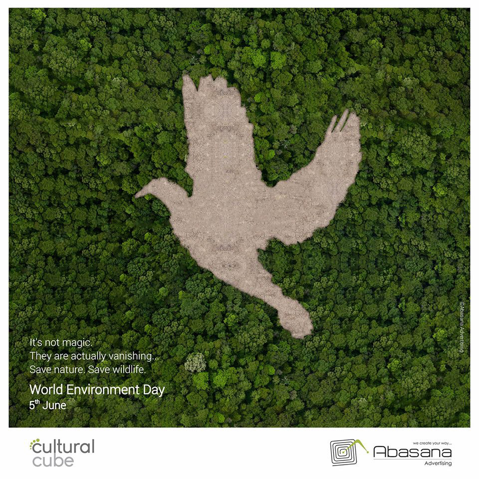Advertising Agency Creative Ad cultural cube gogreen Nature save nature save ocean save wildlife World Environment Day