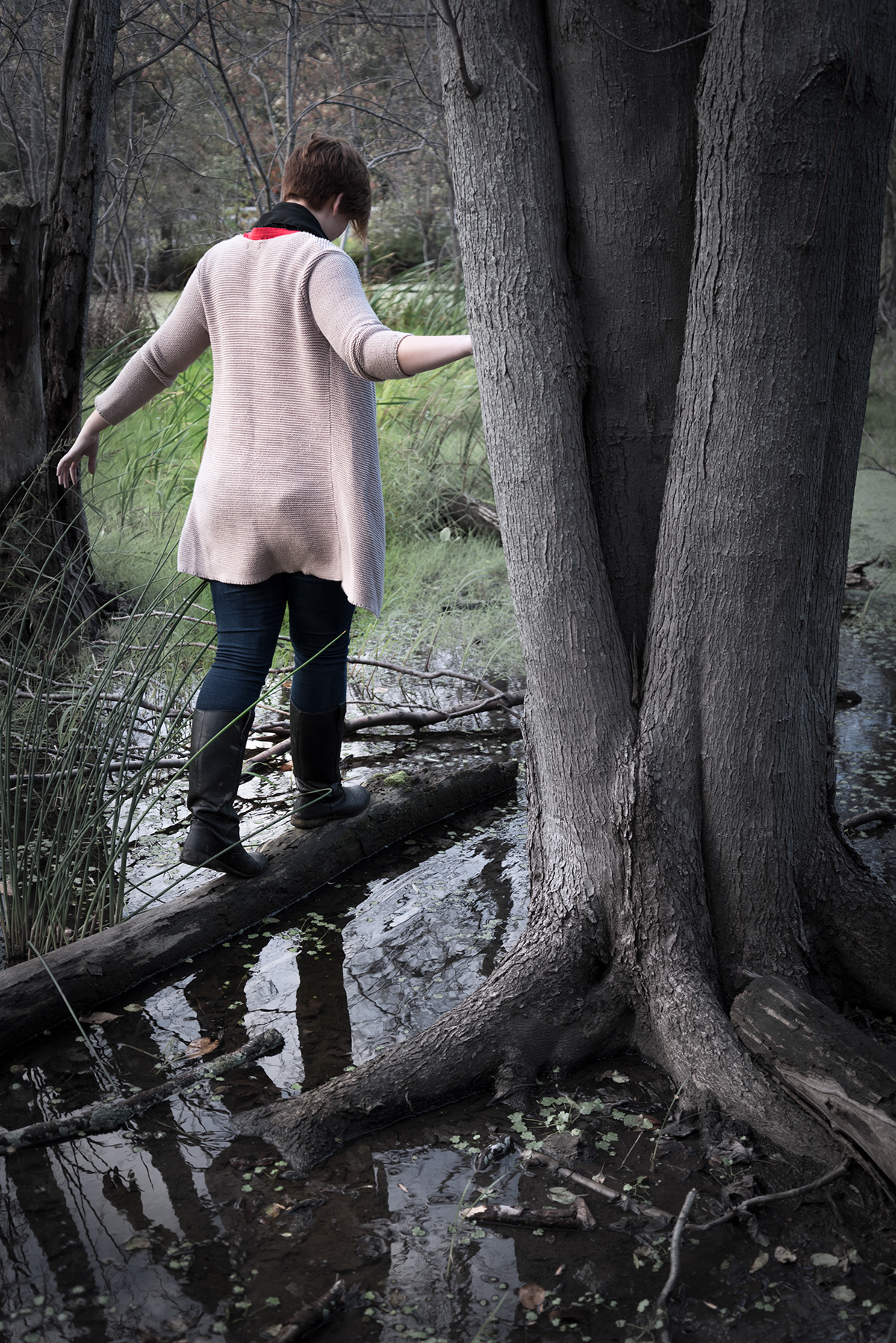 Adobe Portfolio dream Photography  rochester swamp Nature