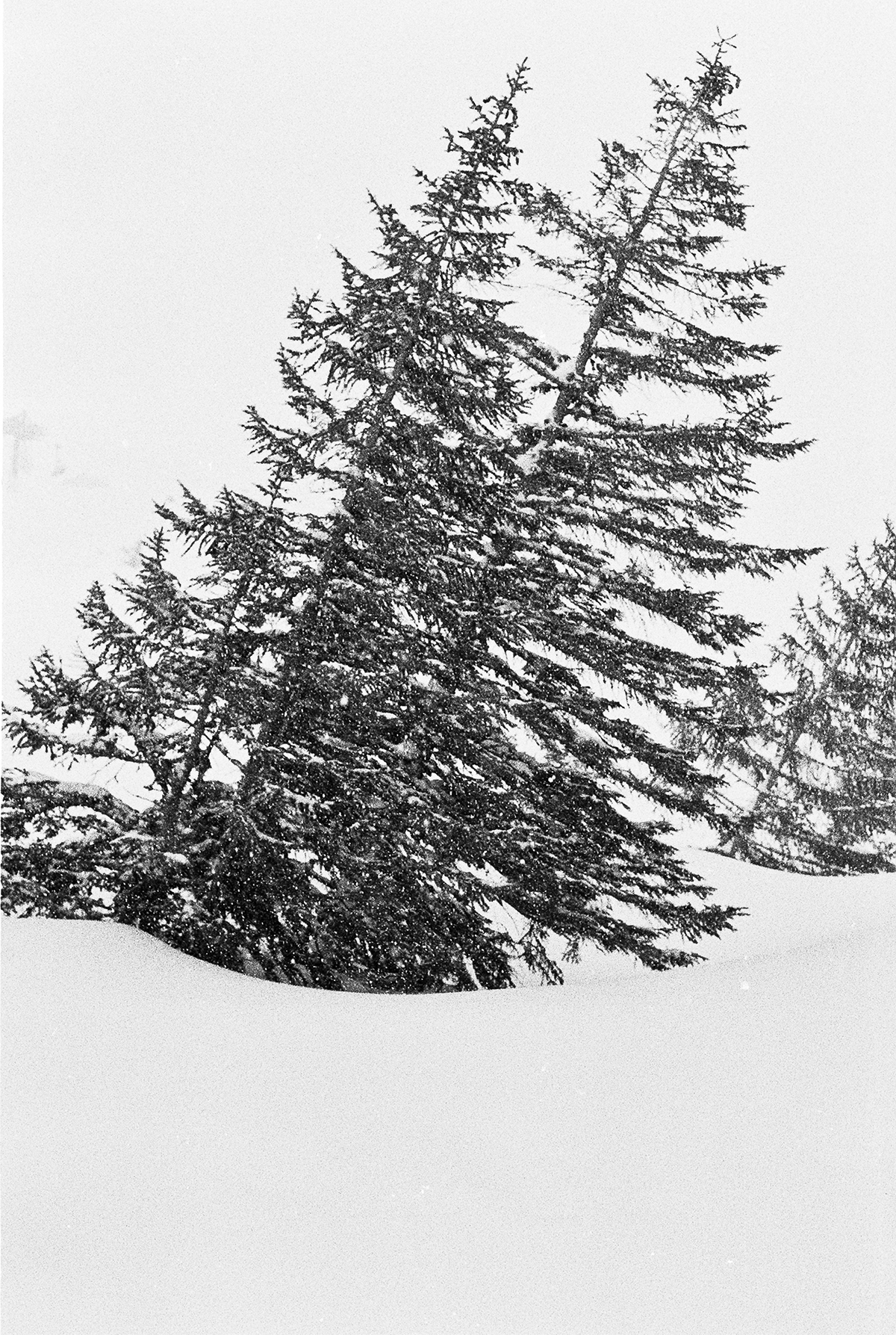 Snowboarding shot on film black and white