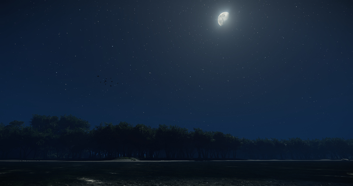 lake night moon stars star Landscape Beautiful cryengine 3D Level nightly gameturtle goldk