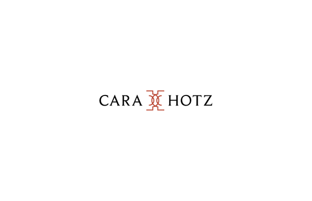 Style self-help coaching Consulting professional services cara hotz cara hotz style personal style