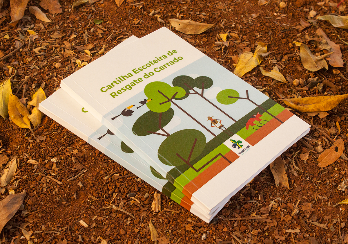 book Livro ILLUSTRATION  Ilustração escoteiro scout cerrado savanna infográfico infographic