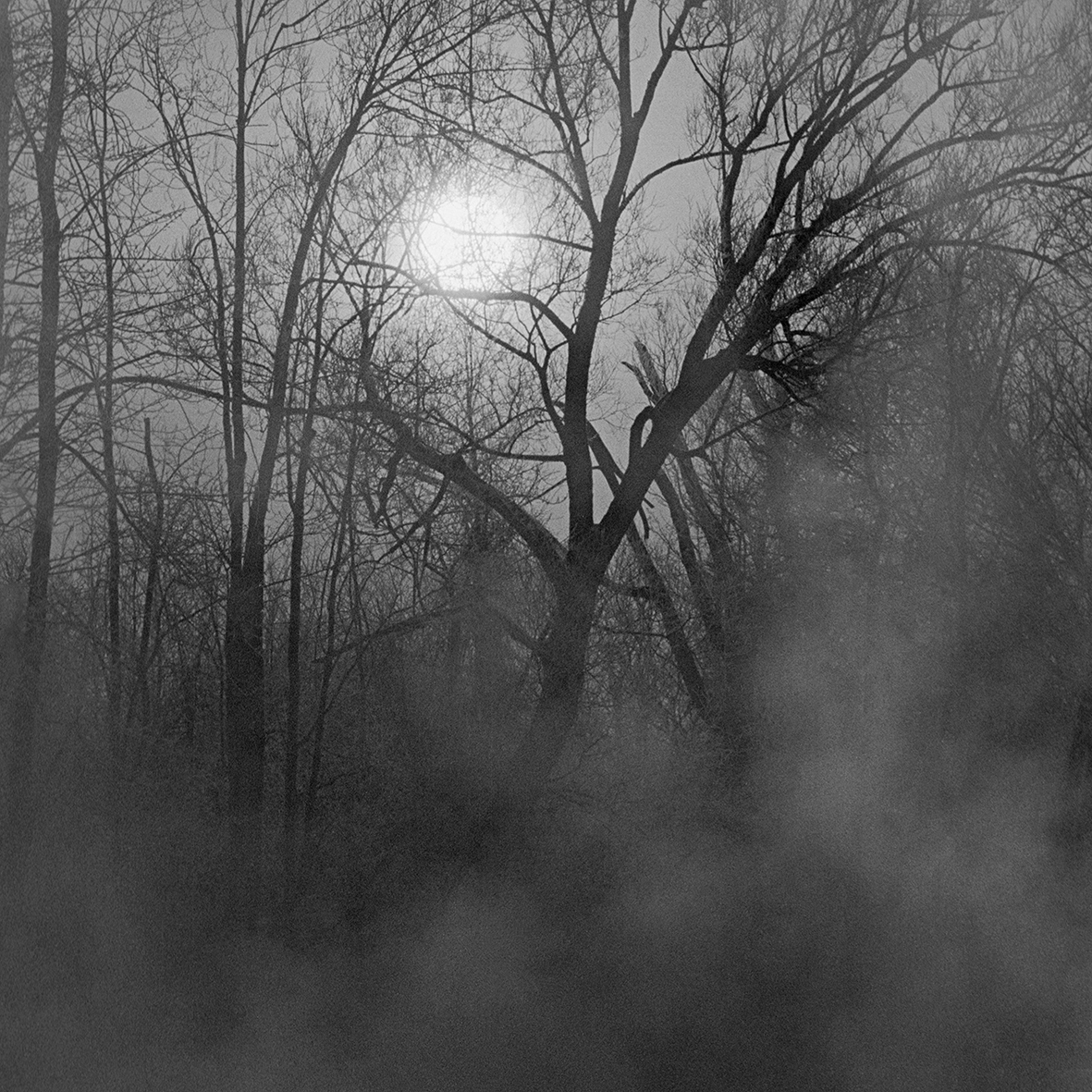 glowing light silence hush Noiselessness Stillness serenity solitary grey mist