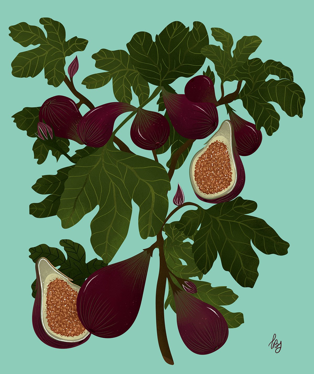 art banana botanical chili design digitalart fig graphicdesign ILLUSTRATION  orange