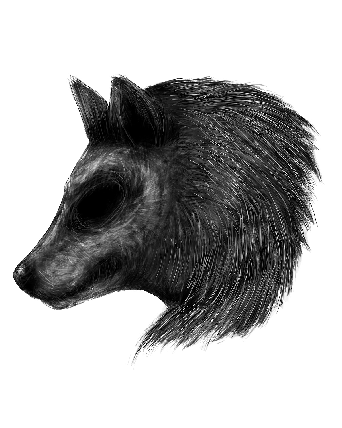 illustration of a dark wolf by chris corridore