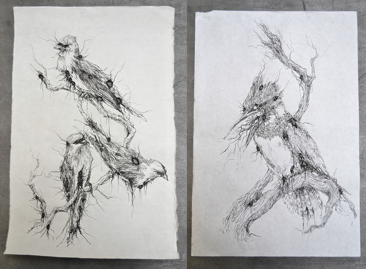 50 series birds nature lab victor lara Sara K Dunn Taxidermy Birds distortion ink drawing ink Hyper Detail