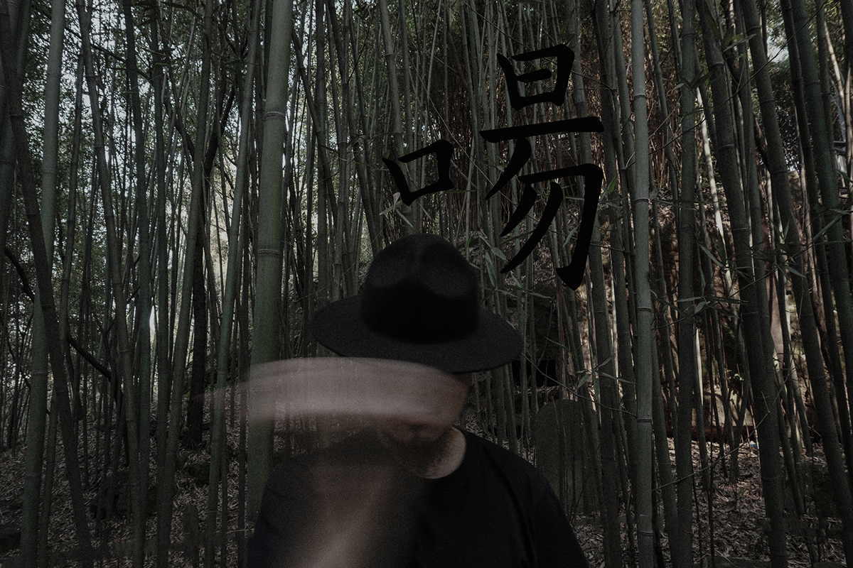 chinesestyle darktone forest portrait shade