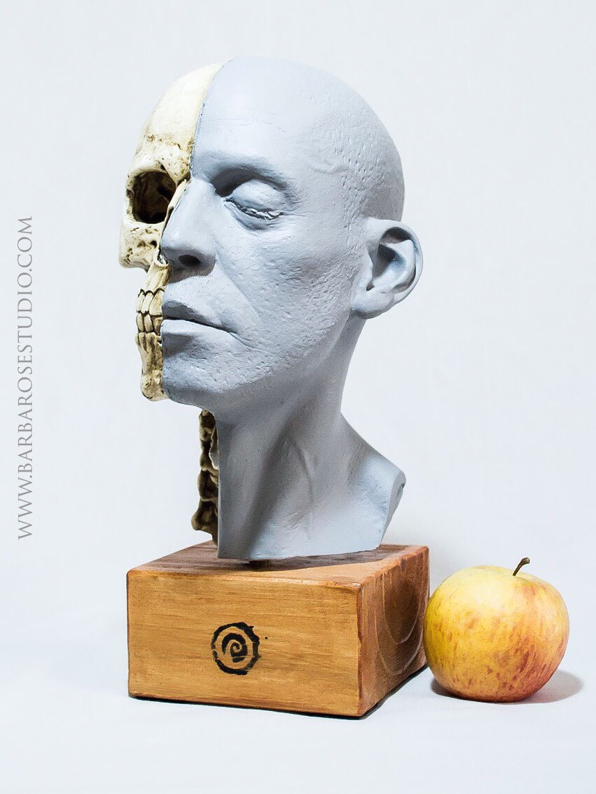Anatomy traditional art sculptor resin skull