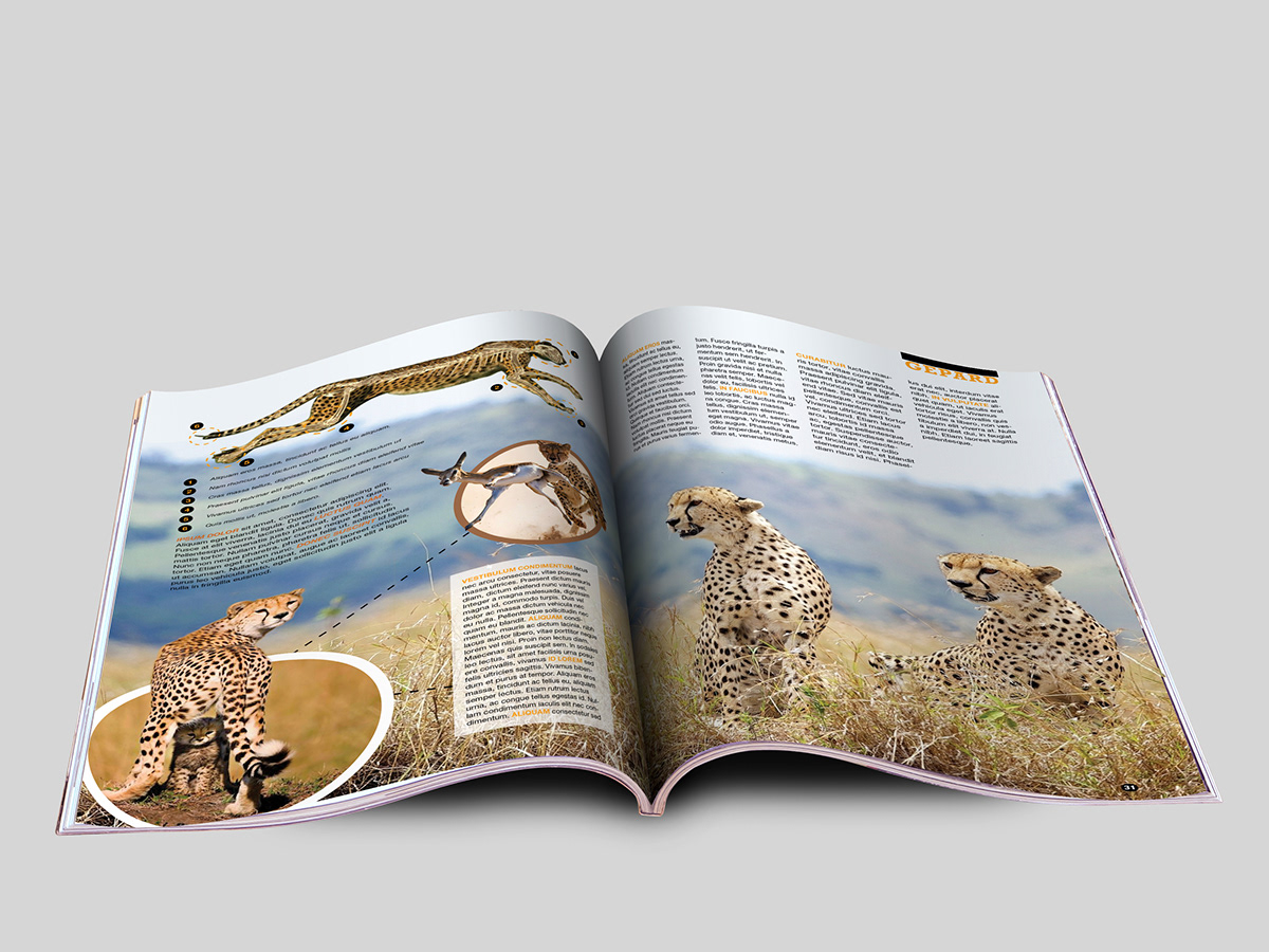 magazine wildlife