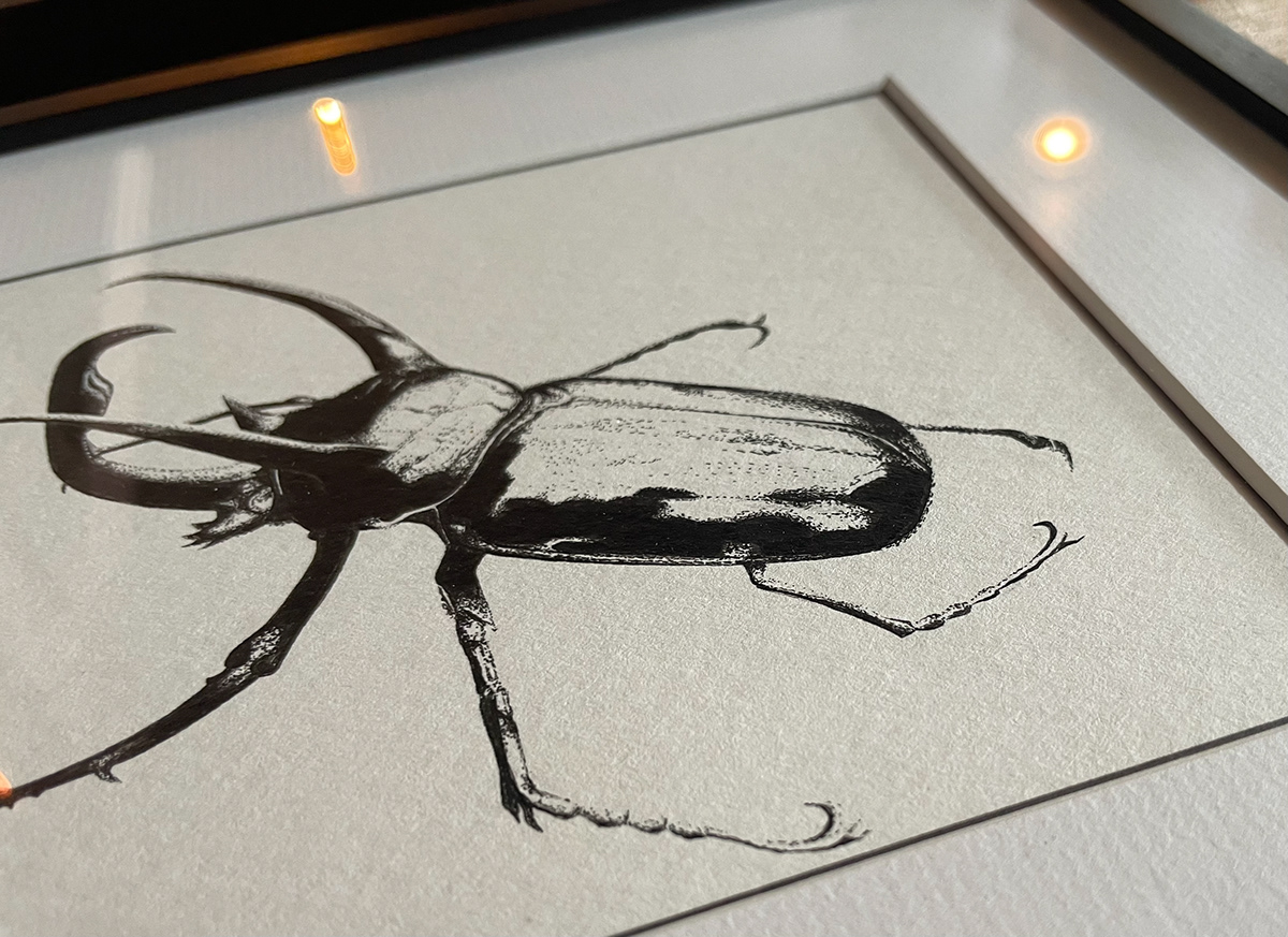 artwork blackwork darkart dotwork dotworktattoo Drawing  ILLUSTRATION  inkart insect