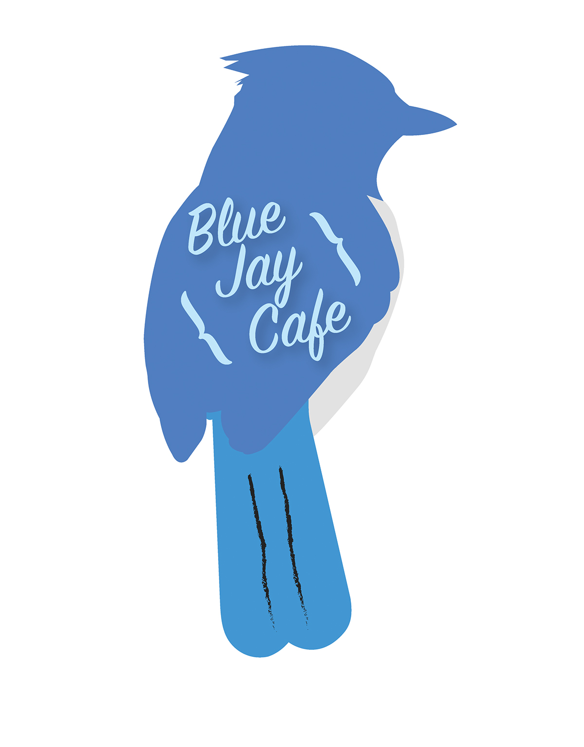 blue jay blue jay bird Illustrator adobe photoshop art cute