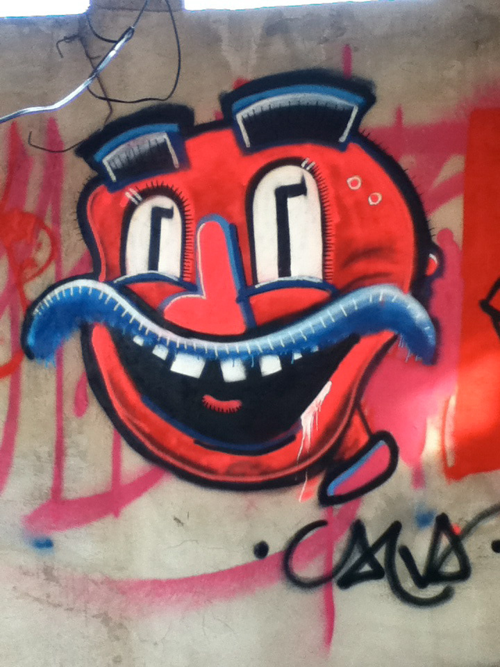 grafitti IDS Urban arts