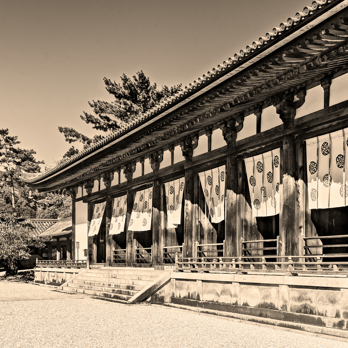 Entranc of the Daikodo, Horyuji (法隆寺), JAPAN
