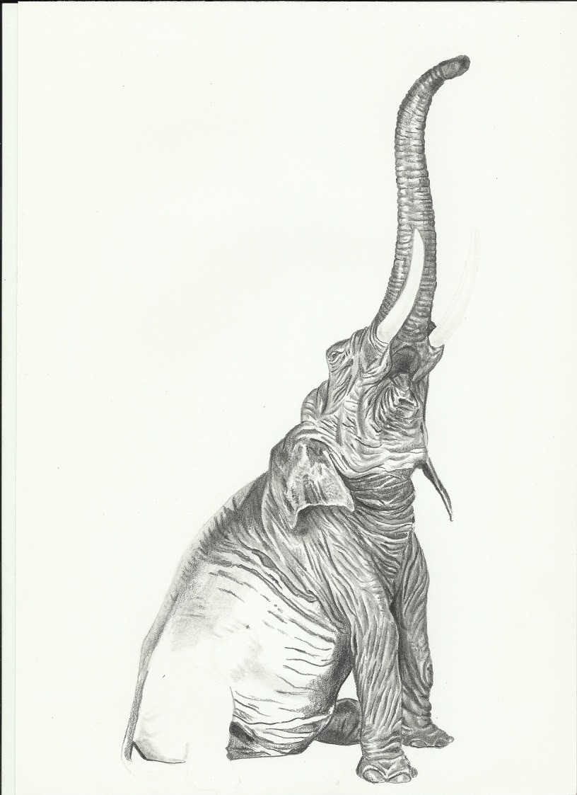 pencil elephant antique