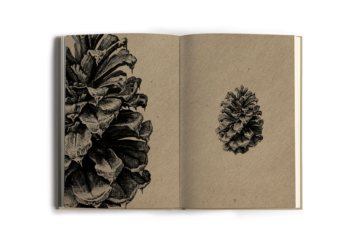 design botanical botanicalillustration book chapbook