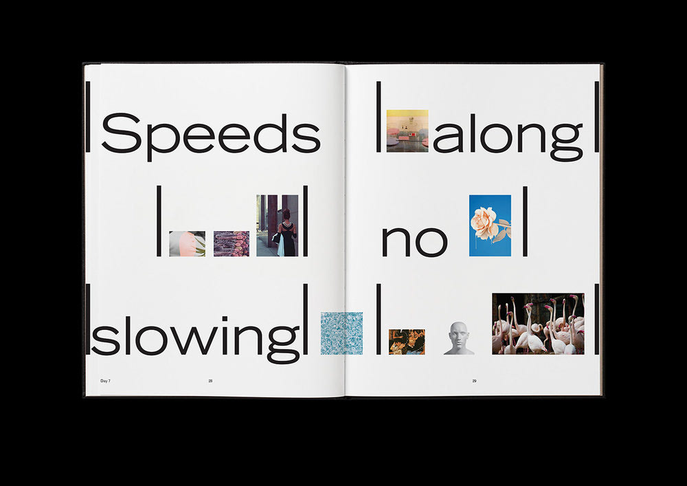 graphic design  design Layout publication typography  