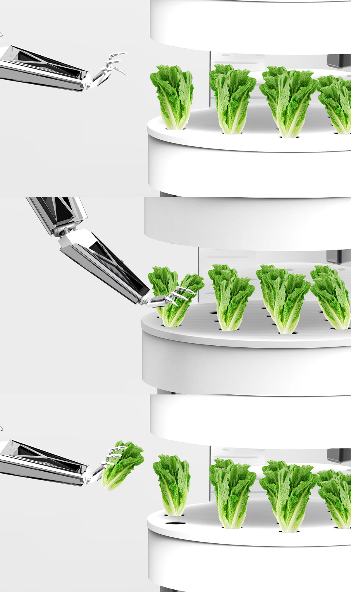 Sustainable Food  futuristic scenarios