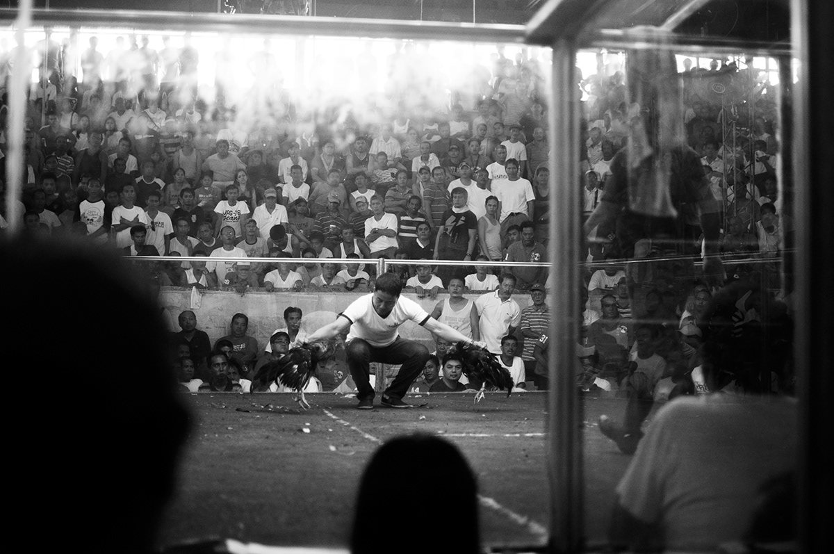 black-and-white b&w Documentary  philippines cockfighting sabong