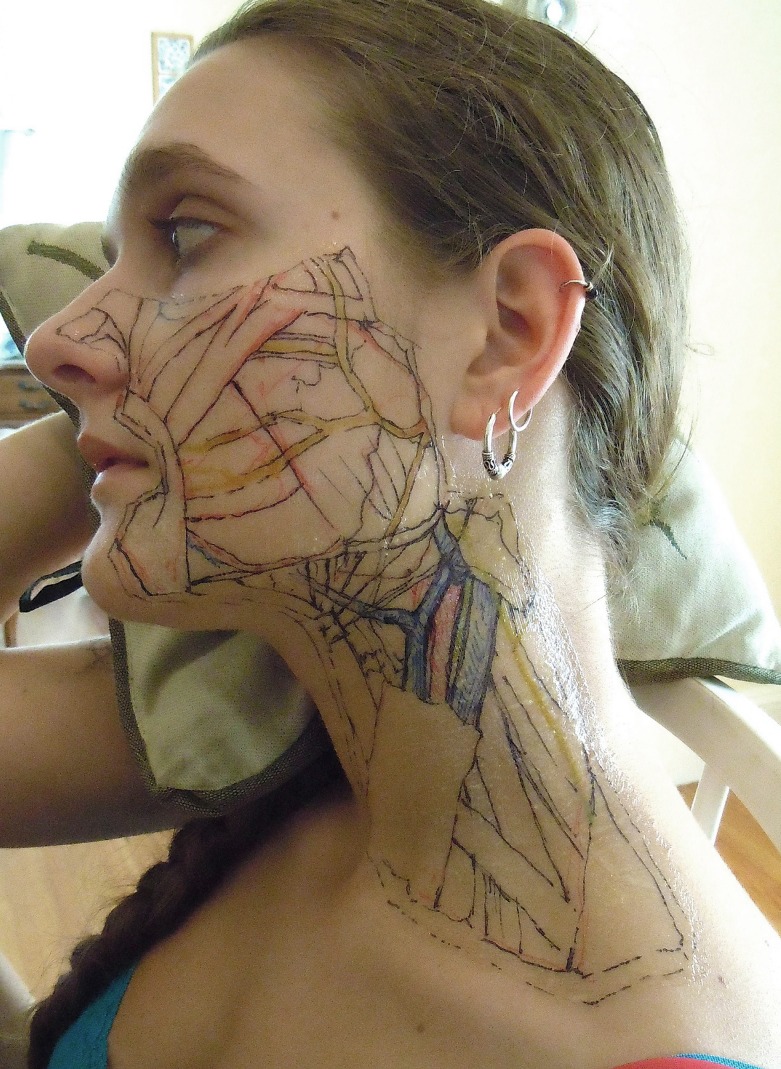 anatomy art Danny Quirk body painting head and neck latex