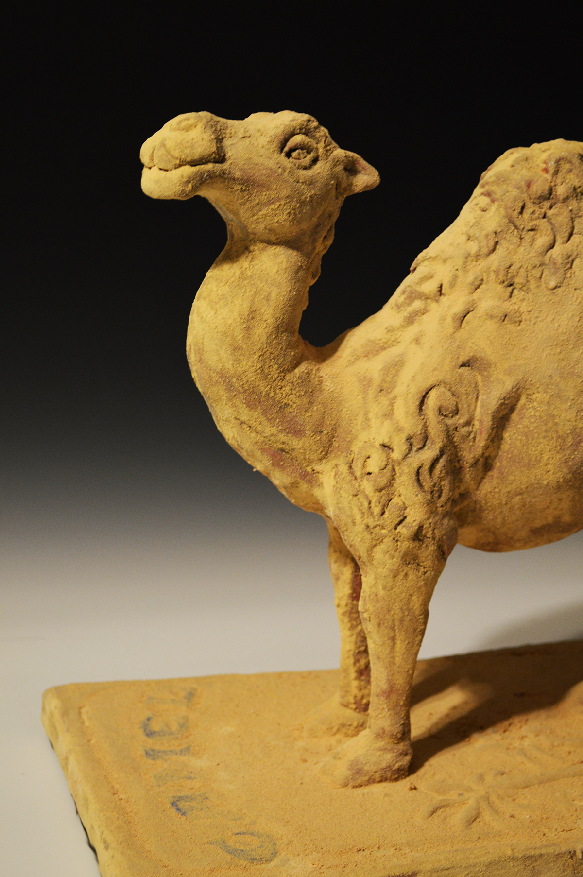 camel  terracotta cigarettes