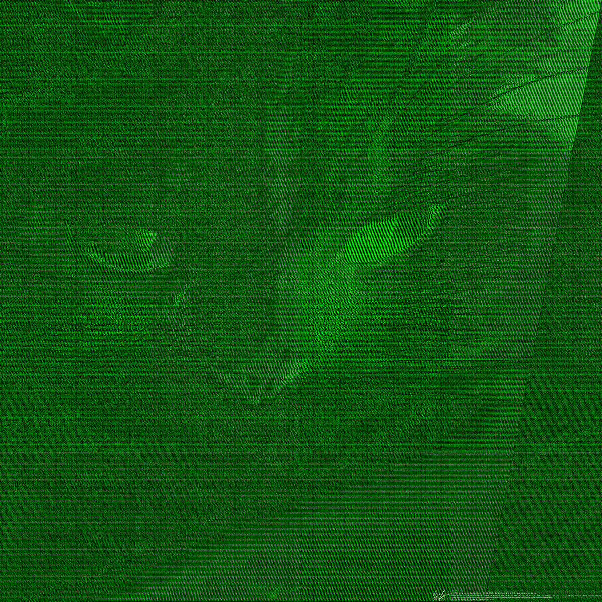 Katze Cat miau digital datagrafy