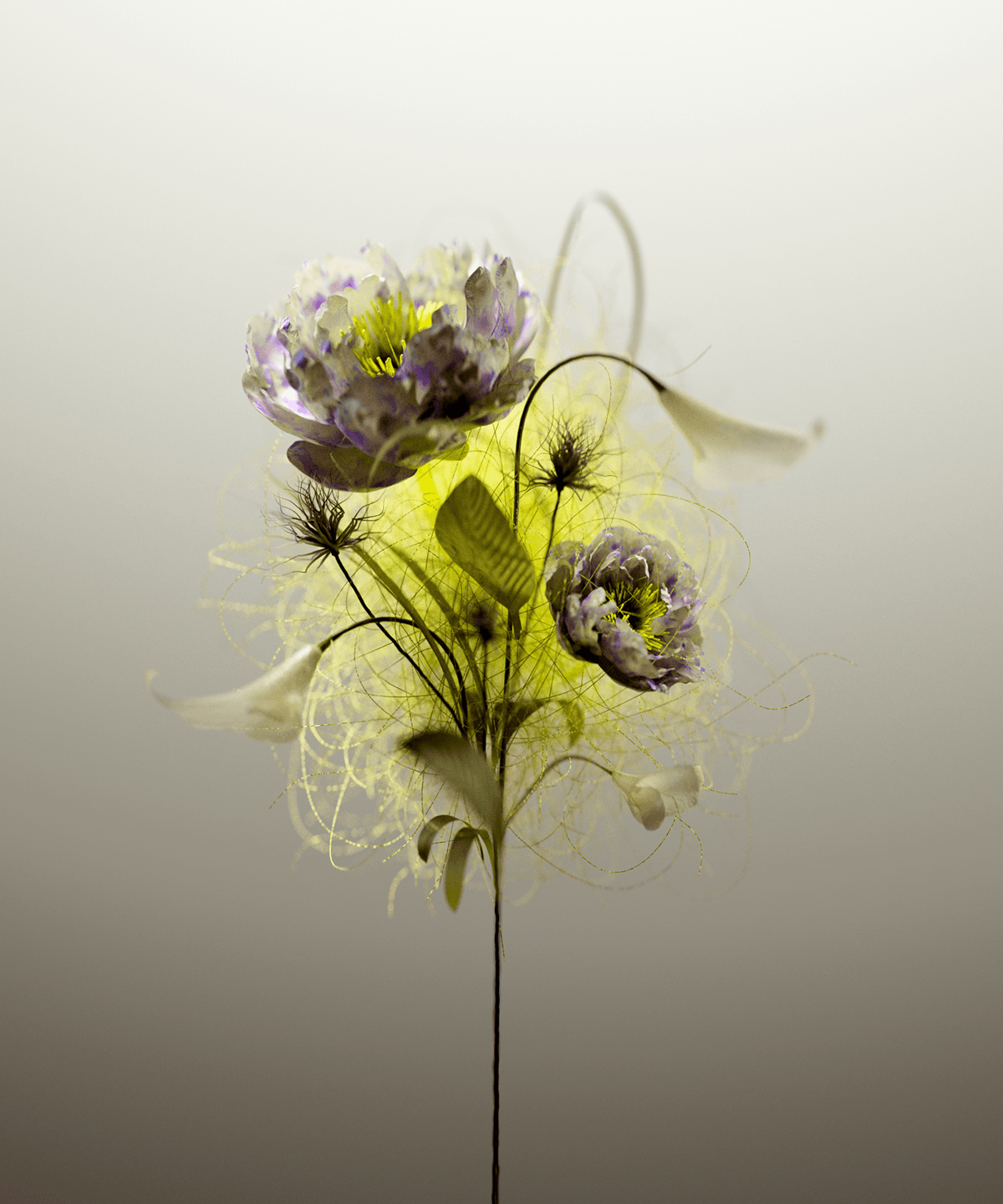 insect Nature art Digital Art  CGI Render 3D visualization design art direction 