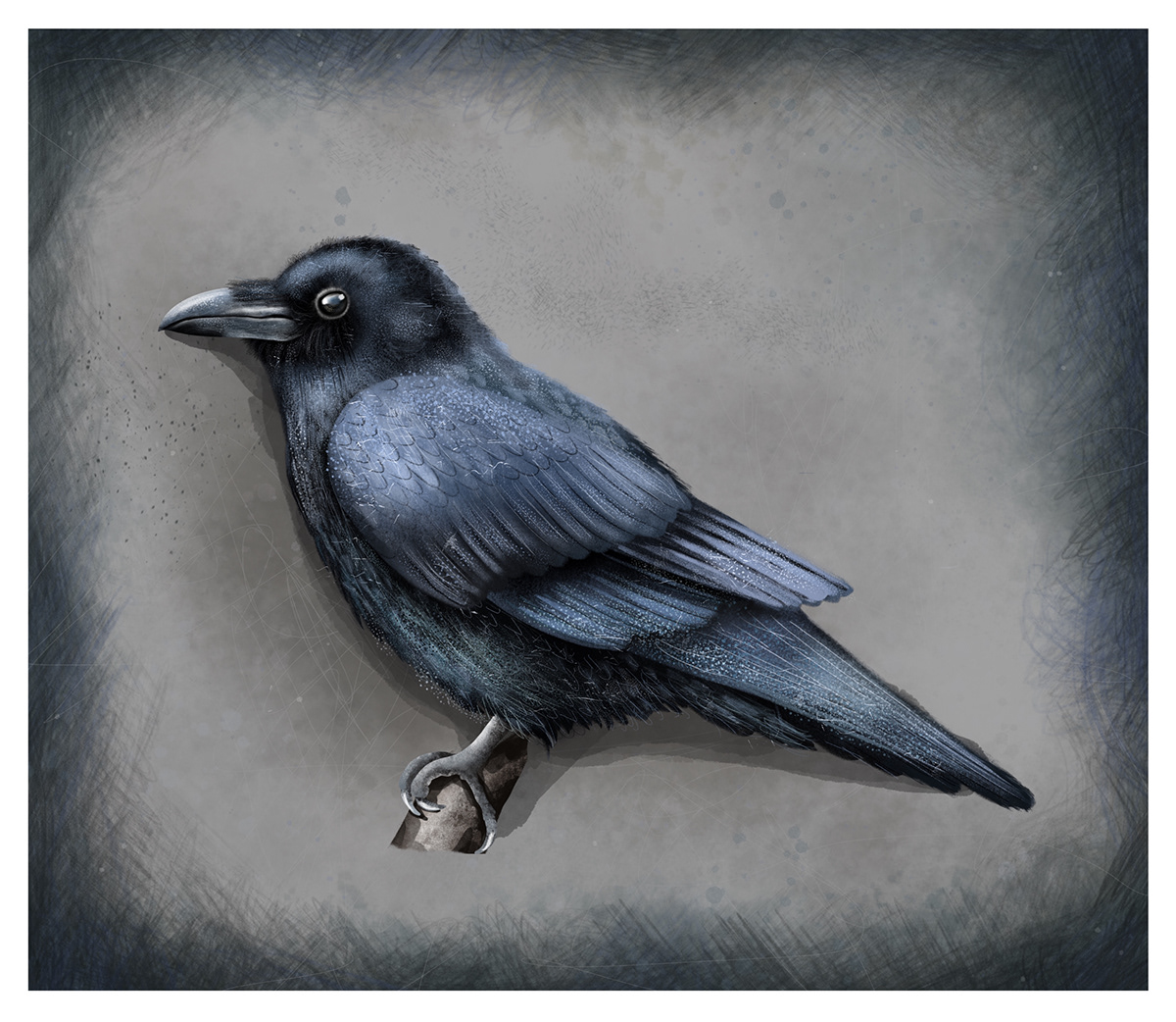artwork bird Character design  digital illustration Drawing  ILLUSTRATION  Illustrator Nature raven