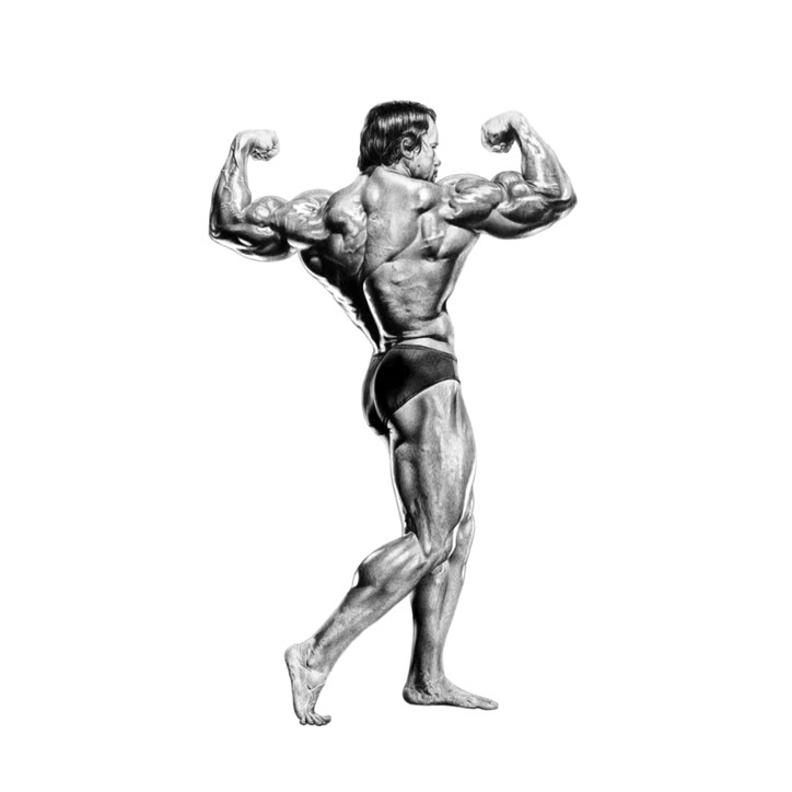 Drawing  realistic black and white Celebrity BodyBuilding posing anatomy fitness workout muscles
