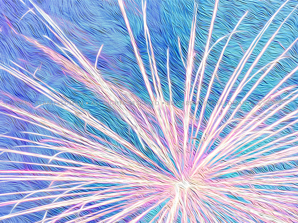 fireworks Lake Eola downtown orlando fourth of july