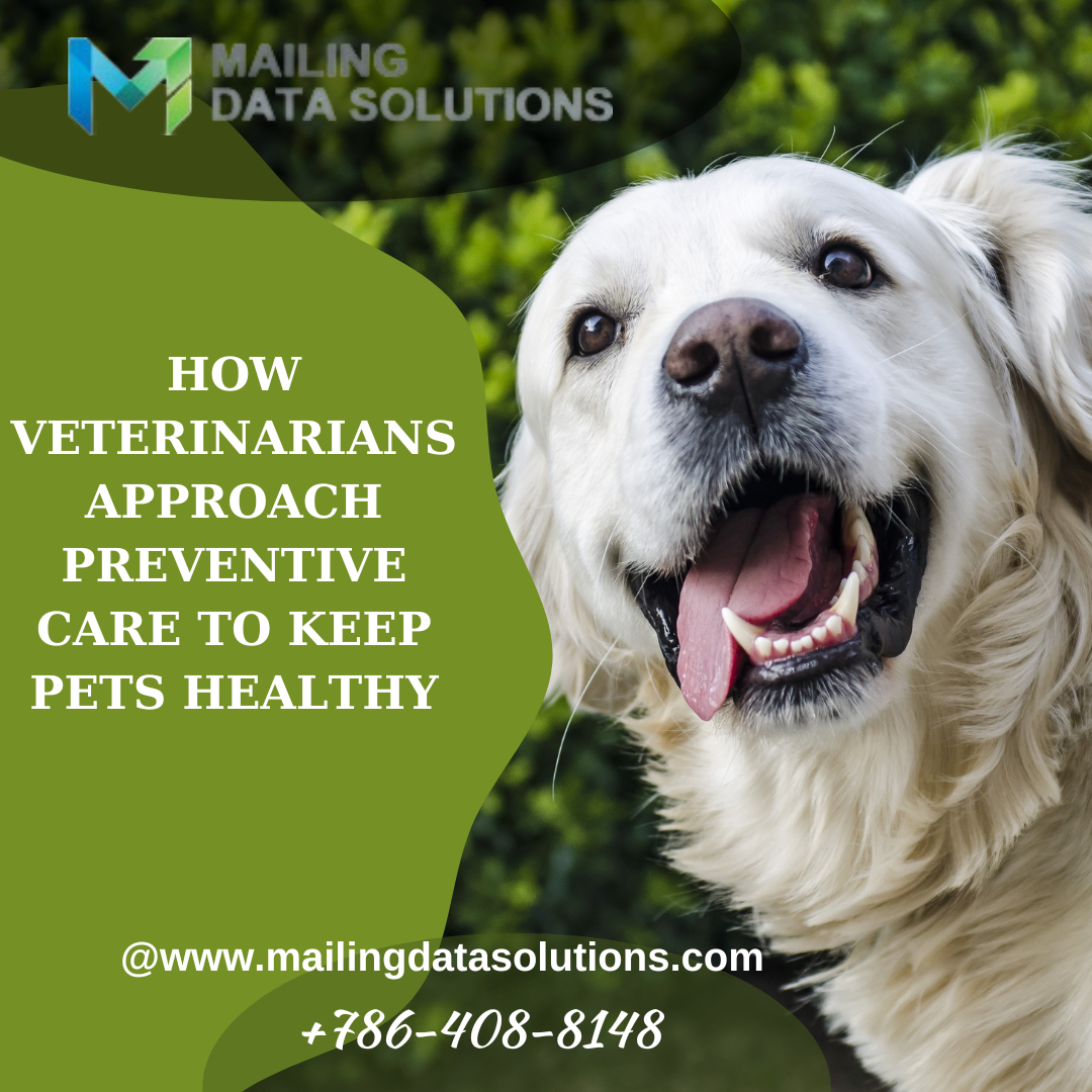 veterinary б2б mailingdatabase veterinarians Veterinarians Email List