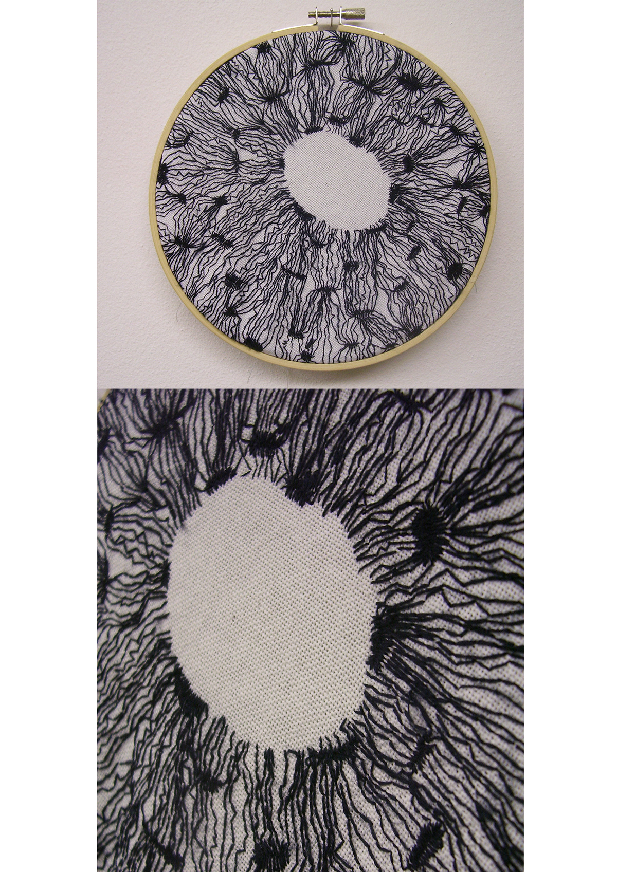 Embroidery bone Osteo tissue micro macro texture structure SEW
