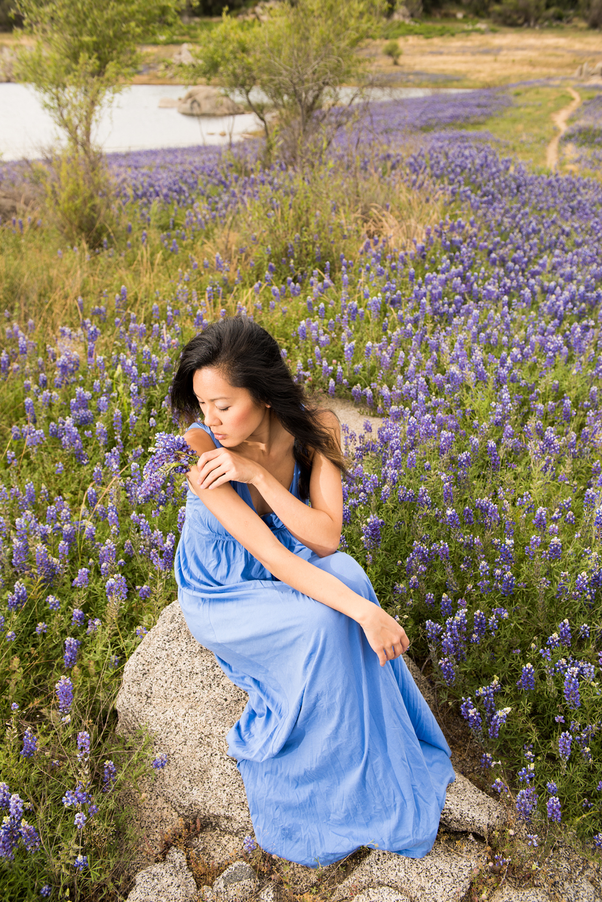 model woman girl Lady Nikon person portrait Picture lupine lake Folsom California purple dress beauty