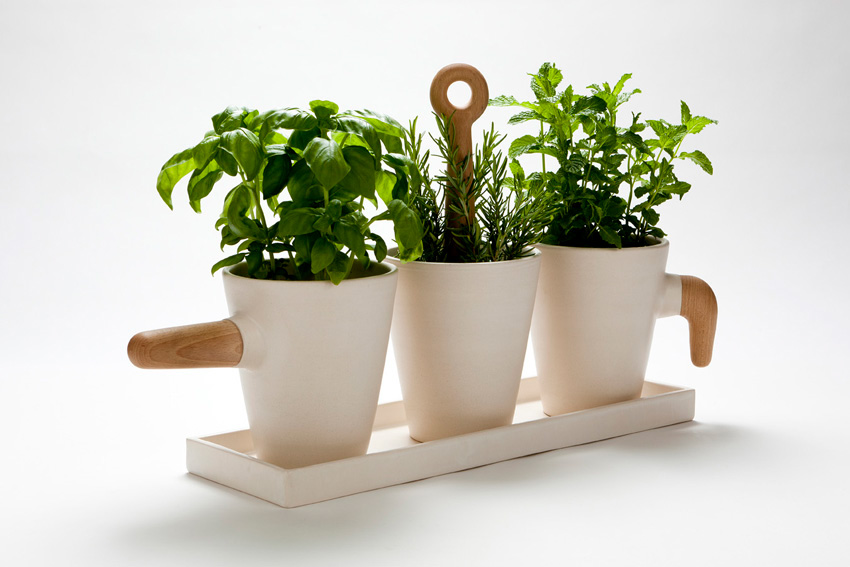 kitchen Product  Design Herb