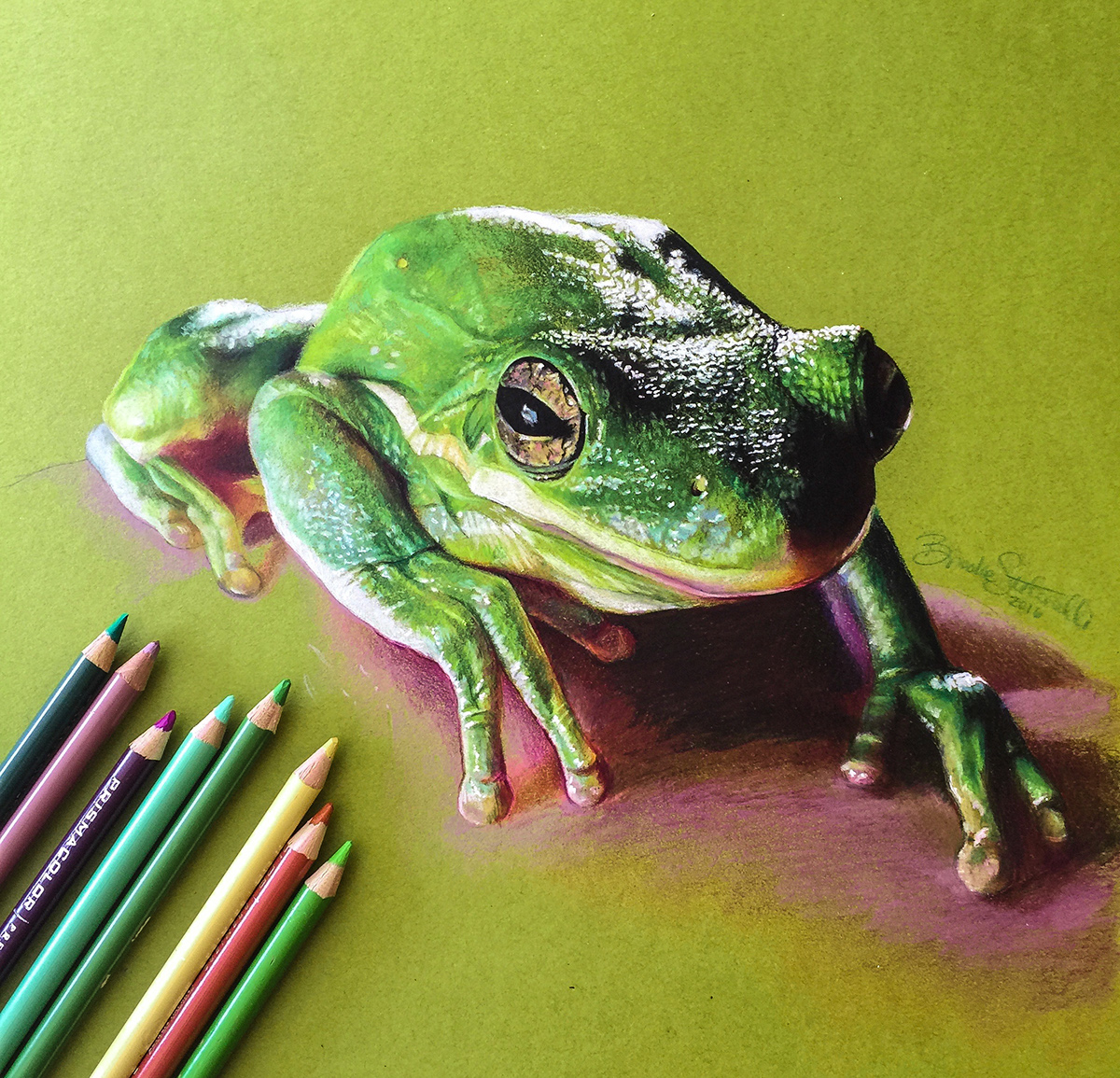 How to Draw a Frog - Easy Drawing Art