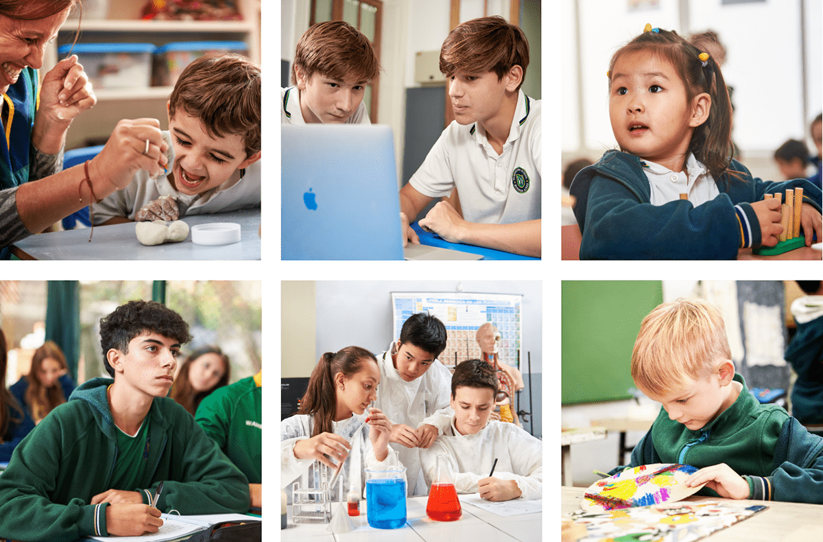 school Education argentina buenos aires branding  social media Web children University college
