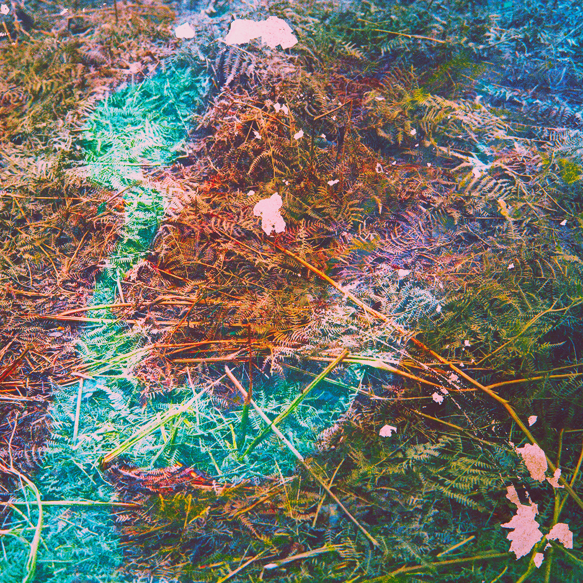 photos mediumformat analog FilmPhotography art artist mixedmedia manipulated Ambient color carousel