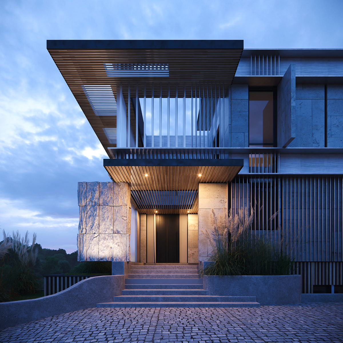3D 3ds max architecture archviz corona render  exterior house Render visualization
