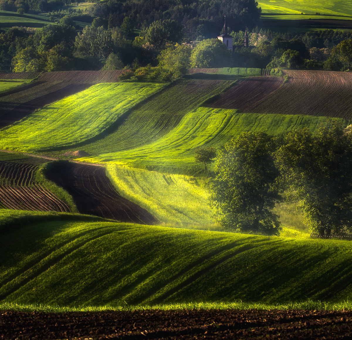 green field poland Czech Landscape ponidzie moravian jura power roztocze