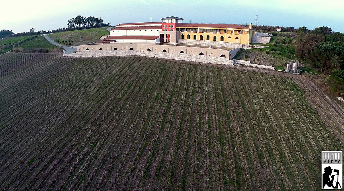 Adobe Portfolio óbidos drone Aerial Photography  Diogo Robalo Castle Nature gastronomy wine